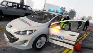 Peugeot 308 I Douane