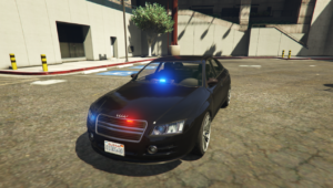 Unmarked/FIB Tailgater